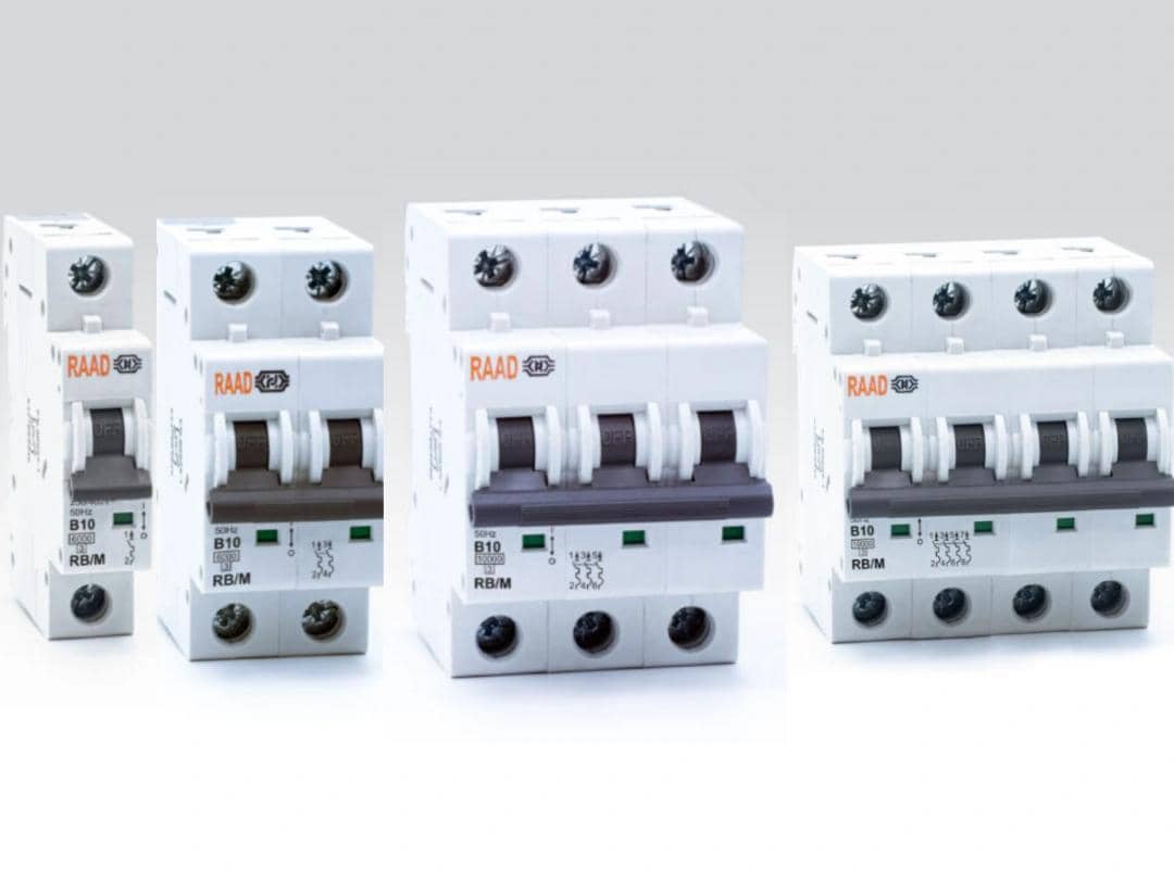 کلید مینیاتوری دو پل 6 کیلو تیپ B رعد مدل RB/MD 2P - 6~40 A